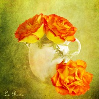 Buy canvas prints of Le Rose by Fine art by Rina