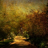 Buy canvas prints of Pathway into the unknown ( Alameda Gardens) by Fine art by Rina