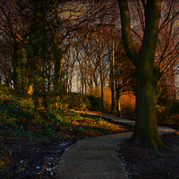 Buy canvas prints of Milnrow Memorial Park by Fine art by Rina
