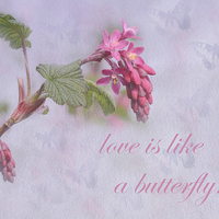 Buy canvas prints of Love is like a butterfly by Fine art by Rina