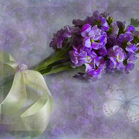 Buy canvas prints of Pretty lilacs by Fine art by Rina