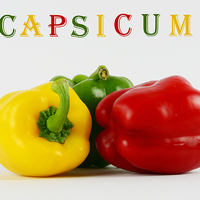 Buy canvas prints of Capsicum by Fine art by Rina