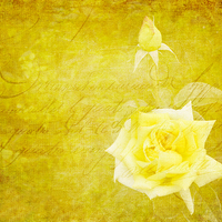 Buy canvas prints of Vintage Rose by Fine art by Rina