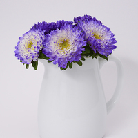 Buy canvas prints of  Pretty Asters by Fine art by Rina