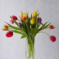 Buy canvas prints of  Pretty coloured Tulips by Fine art by Rina