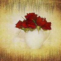Buy canvas prints of  Crimson Rose by Fine art by Rina
