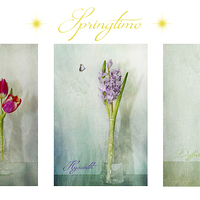 Buy canvas prints of  Springtime by Fine art by Rina