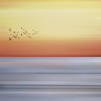 Buy canvas prints of  Flight of the butterflies by Fine art by Rina