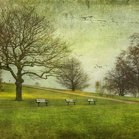 Buy canvas prints of  Heaton Park by Fine art by Rina