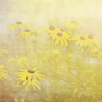 Buy canvas prints of  Summer time by Fine art by Rina