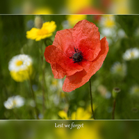 Buy canvas prints of  Lest we forget by Fine art by Rina