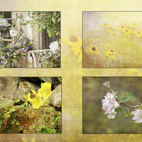 Buy canvas prints of  Pretty flora by Fine art by Rina