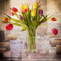 Buy canvas prints of Tulips by Fine art by Rina