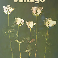 Buy canvas prints of Vintage Roses, with added text by Fine art by Rina