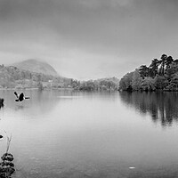 Buy canvas prints of Grasmere  Lake District  by Maggie McCall