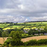 Buy canvas prints of Milton Abbot Panorama, Devon by Maggie McCall
