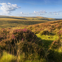 Buy canvas prints of Dartmoor at North Bovey by Maggie McCall