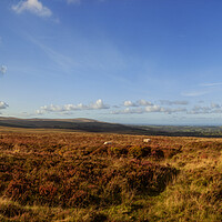 Buy canvas prints of Dartmoor,  view towards Minehead, North Bovey by Maggie McCall