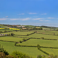 Buy canvas prints of Tamar Valley Panorama by Maggie McCall