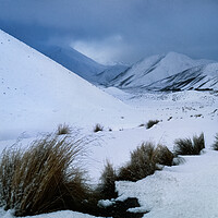 Buy canvas prints of Lindis Pass, South Island, New Zealand by Maggie McCall