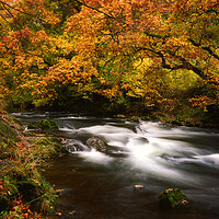 Buy canvas prints of Brathay River, Clappersgate,  Lake District. by Maggie McCall