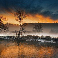 Buy canvas prints of Frosty Tamar River, Cornwall by Maggie McCall