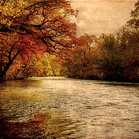 Buy canvas prints of Autumnal River Tamar by Maggie McCall