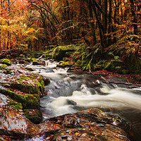 Buy canvas prints of River Fowey, Golitha falls, Bodmin by Maggie McCall