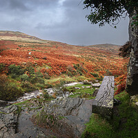 Buy canvas prints of Bench above the River Lyd, Dartmoor, Devon.  by Maggie McCall