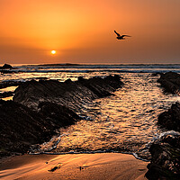 Buy canvas prints of Widemouth Sunset, Cornwall by Maggie McCall