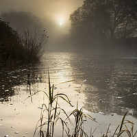 Buy canvas prints of Misty Winter Sunrise on Tamar River, Devon by Maggie McCall