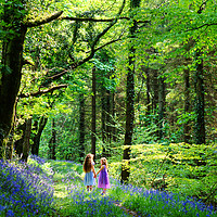 Buy canvas prints of Little girls in Bluebell wood by Maggie McCall