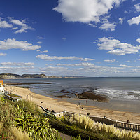 Buy canvas prints of Lyme Regis beach from Langmoor  and Lister gardens by Maggie McCall