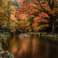 Buy canvas prints of Autumn on Teign River, Devon. by Maggie McCall