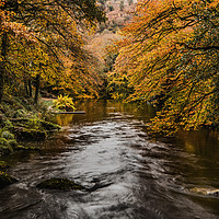 Buy canvas prints of Teign River, Devon. by Maggie McCall