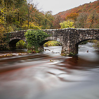 Buy canvas prints of Fingle Bridge, Dartmoor, Devon. by Maggie McCall