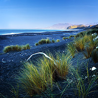 Buy canvas prints of Beautiful Kekerengu Bay, New Zealand by Maggie McCall