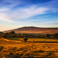 Buy canvas prints of Great Mis  Tor, Dartmoor. by Maggie McCall