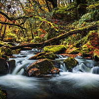 Buy canvas prints of GOLITHA FALLS 2 by Maggie McCall