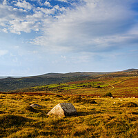 Buy canvas prints of Dartmoor Panorama by Maggie McCall