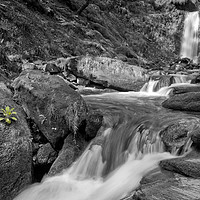 Buy canvas prints of Pistyll Rhaeadr Waterfall by raymond mcbride