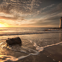 Buy canvas prints of DRIFTWOOD( On the shore) by raymond mcbride