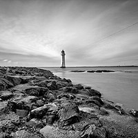 Buy canvas prints of STANDING TALL ( 90 Feet above the rocks ) by raymond mcbride