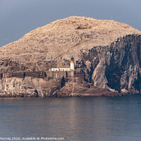 Buy canvas prints of The Bass Rock  by Robert Murray