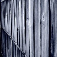 Buy canvas prints of perspective fence by Isabel Antonelli