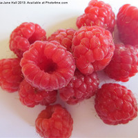 Buy canvas prints of The Raspberries by Lee Hall