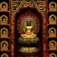 Buy canvas prints of Buddha Tooth Relic Temple and Museum by J Lloyd
