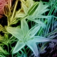 Buy canvas prints of fractal lilys by elvira ladocki