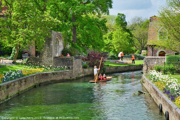 Great Stour river in Westgate Gardens, Canterbury, Picture Board by Luigi Petro