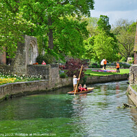 Buy canvas prints of Great Stour river in Westgate Gardens, Canterbury, by Luigi Petro